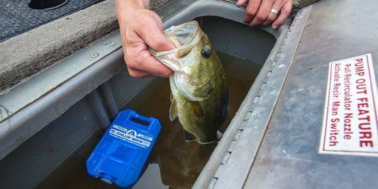 Don't Let The Sun Ruin Your Fishing Fun