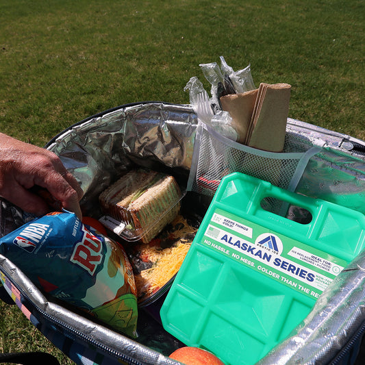 Using Arctic Ice For Picnics